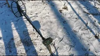 Металошукач Тесей - Тест на римський денарик. #металошукач