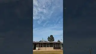 21 марта 2024 г.