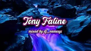 TONY FALINE - BREAKBEAT SESSION # 325 mixed by dj_némesys