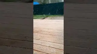 снег летом ??