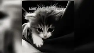 𝙇𝙤𝙨𝙩 𝙨𝙤𝙪𝙡-(𝙨𝙥𝙚𝙚𝙙 𝙪𝙥) ★
