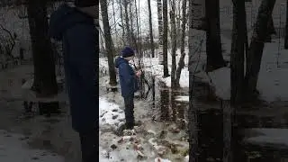 То ли зима, то ли весна, то ли осень...
