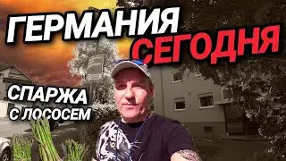 ГЕРМАНИЯ СЕГОДНЯ. ЖИЗНЬ КАК ОНА ЕСТЬ.  15 ЛЕТ НЕ ПЫЛЕСОСИЛ В МАШИНЕ. СПАРЖА С ЛОСОСЕМ.