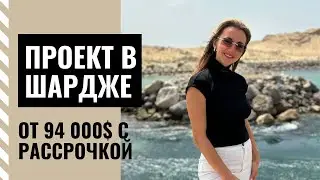 Проект до 100 000$ в ОАЭ