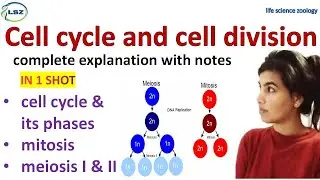 Cell cycle and cell division complete chapter