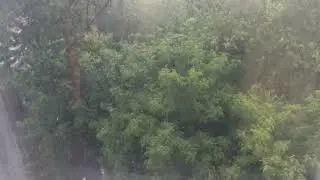 Ливень - 2