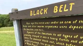 Black Belt - Mississippi - Alabama
