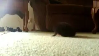 Awwwwwwwwwwwwwwwwww