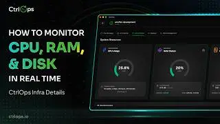 How to Monitor CPU, RAM & Disk in Real-Time | CtrlOps Infra Details