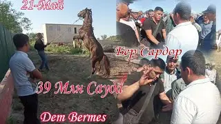 21-МАЙ/ШЫМБАЙ МАЛ БАЗАРЫ/СКОТНЫЙ РЫНОК/ДЕМ БЕРМЕС/SHIMBAY MAL BAZAR/DEM BERMES/MAL BAZAR 2023