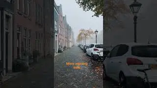 Misty Morning Walk