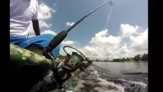 unwinding on the wild river of Linden (nice catch)