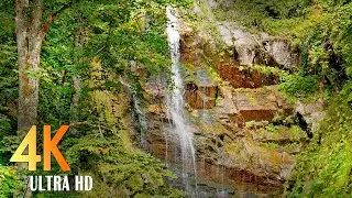 Relaxing sounds. Waterfall sounds and birdsong for sleep and relaxation. 4k Ultra HD