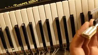 Keyboard Repair - Weltmeister Accordion (by Valdet Jakubovic)
