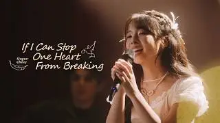 Chevy - If I Can Stop One Heart From Breaking (2026 Star Rail's Marvelous Night Performance)