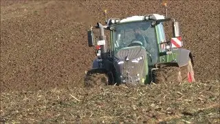 Grubbern/ Fendt 942 Vario + Väderstad Cultus 500