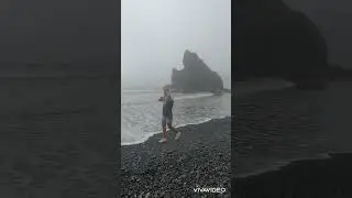 «Сумерки»