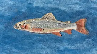 Concrete water-based staining; Fish on my patio!