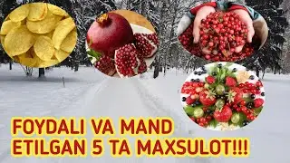 Qishda foydali va mand etilgan malumotlar!!! @shomurzayevramazon