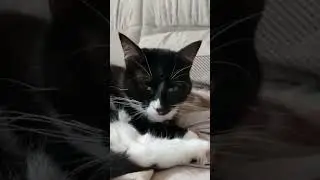 Андрюш ты что такой кислый сидишь 