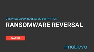 Nubeva  Ransomware Reversal Overview_Nov 9th