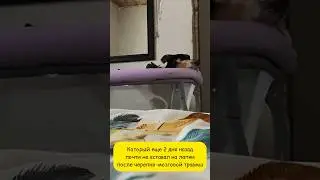 Идем на поправку 🙏🤗❤️ 