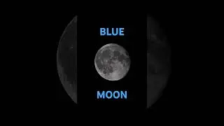 Blue Moon!