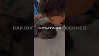Берегите своих животных 💔💔💔