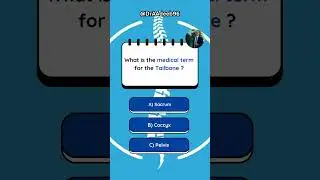 What is the medical term for the tailbone ?