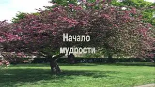 Притча 