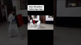 Karate do Shudokan Tulancingo