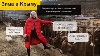 Крым зимой.Что делать и куда сходить.Ферма ослов.Балаклава.Севастополь.