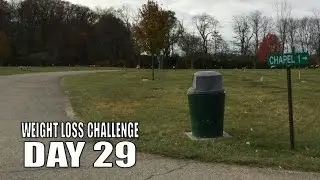 Keep Failing Until I Get The Message | DAY 29 of My 30 Day Weight Loss Challenge 2016