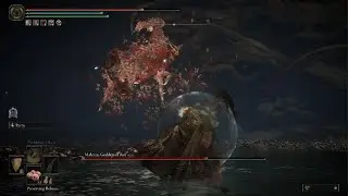 Malenia, Blade of Miquella (Parry Only, No Healing, No Summons) - ELDEN RING