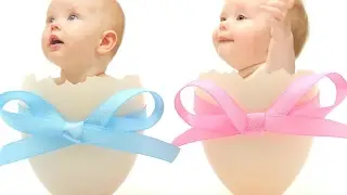 Как зачать  двойню естественным путем?