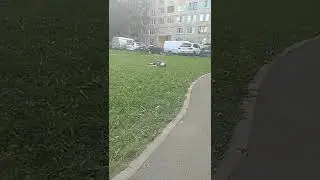 мем. эй брат купи  помидорки