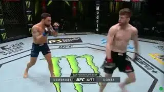 Cory Sandhagen vs Frankie Edgar - BREAKDOWN of an INSANE KNOCKOUT