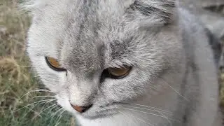 Выпуск новостей за 13 августа