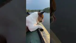 И я не думал не о чём…