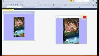 IS303 C# GUI Form Object