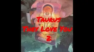Taurus Weekly General Tarot Reading They Love You Too February 2022