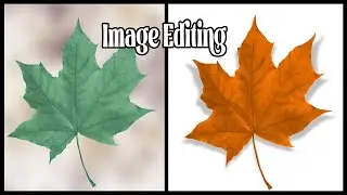 Mastering the Image Editing Color Change in Photoshop | Step-by-Step Photoshop | Tutorial