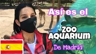 Visitando el ZOO AQUARIUM de Madrid  2021 🐼 / Mira qué animal no hay en el zoo.