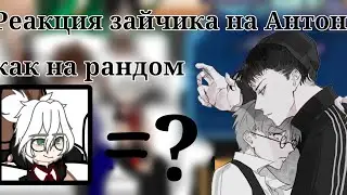 Реакция зайчика на Антона✨💕 как на рандом 