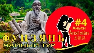 [Чайное дерево] Фуцзянь Китай. Аньси 安溪县 #4