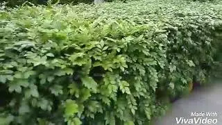 Didar othie song