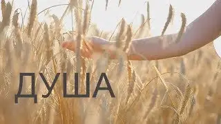 Мудрые слова  о ДУШЕ❤✿
