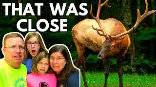 Incredible Family Experience in Cataloochee Valley