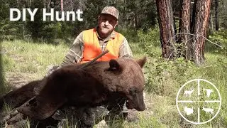 Tips and Techniques for a Successful Montana Spring Bear Hunt
