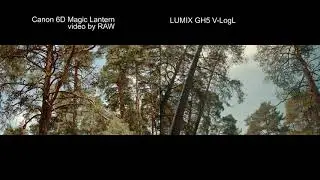 Canon6D RAW video vs Lumix GH5 V-LogL